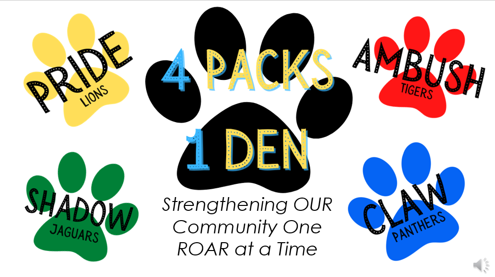 Pack System